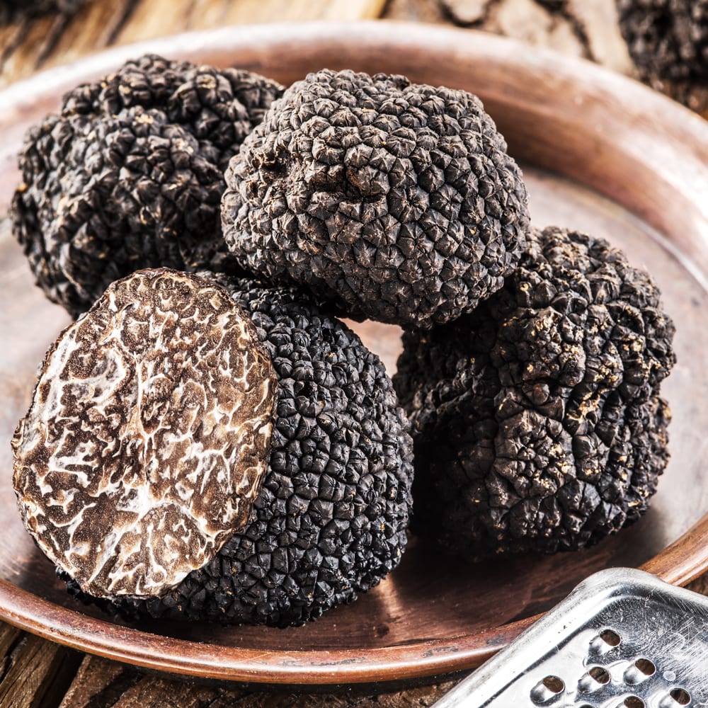 TRUFFE HIVER MORCEAUX UE 250 G