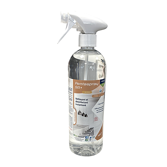 SPRAY DESINFECT ALIM BACTERICIDE VIRUCIDE SS RINCAGE 750 ML