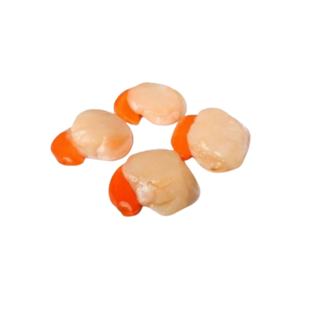 NOIX DE SAINT JACQUES AVEC CORAIL 10/20 - 800 G