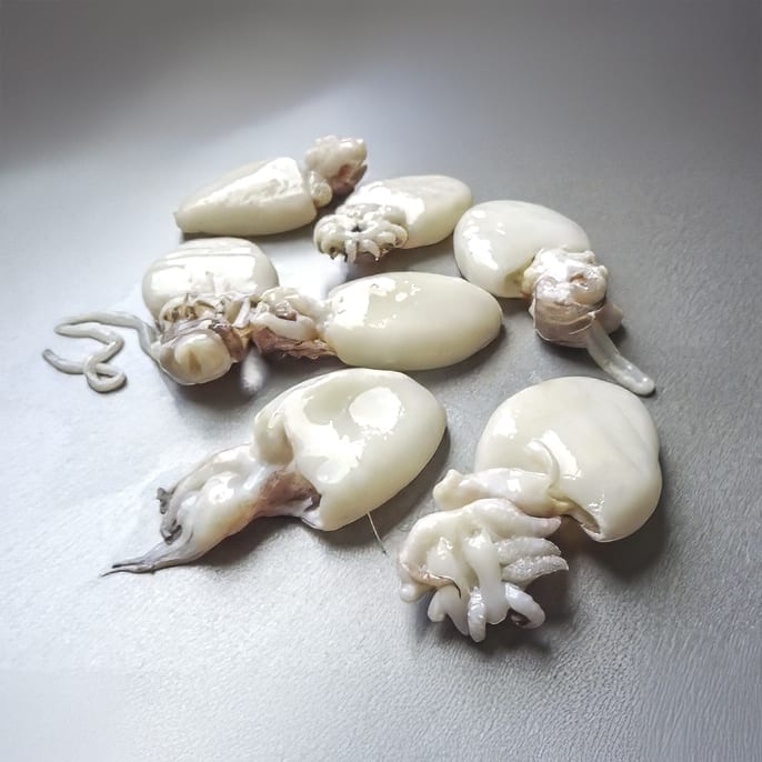 PETITES SEICHES ENTIERES NETTOYEES 40/60 IQF (SUPIONS) – 800 G