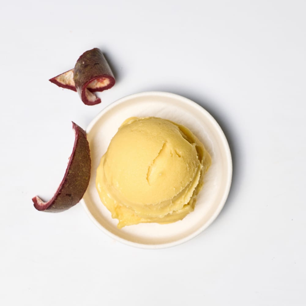 SORBET FRUITS DE LA PASSION 2.5 MD