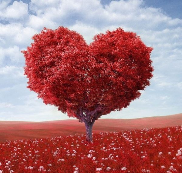 Bonne fête aux amoureux !